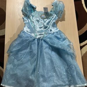 Disney princess costume